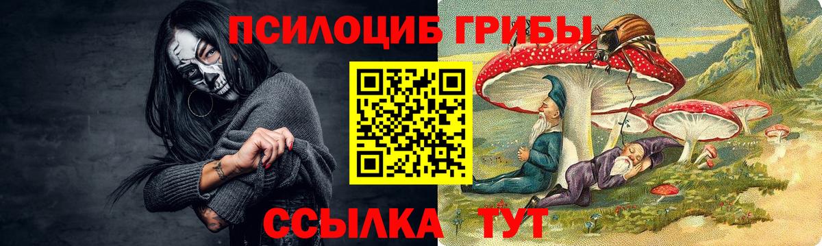 Галлюциногенные грибы мухоморы Краснокаменск