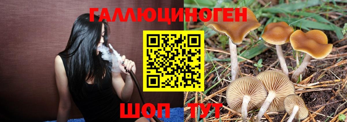 Галлюциногенные грибы ЛСД  Вход с VPN  Краснокаменск 